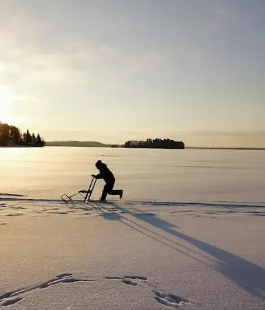 Alman Talo! Huvila Pyhajarven Rannalla! * Tammela