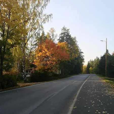 Alman Talo! Huvila Pyhajarven Rannalla! Tammela
